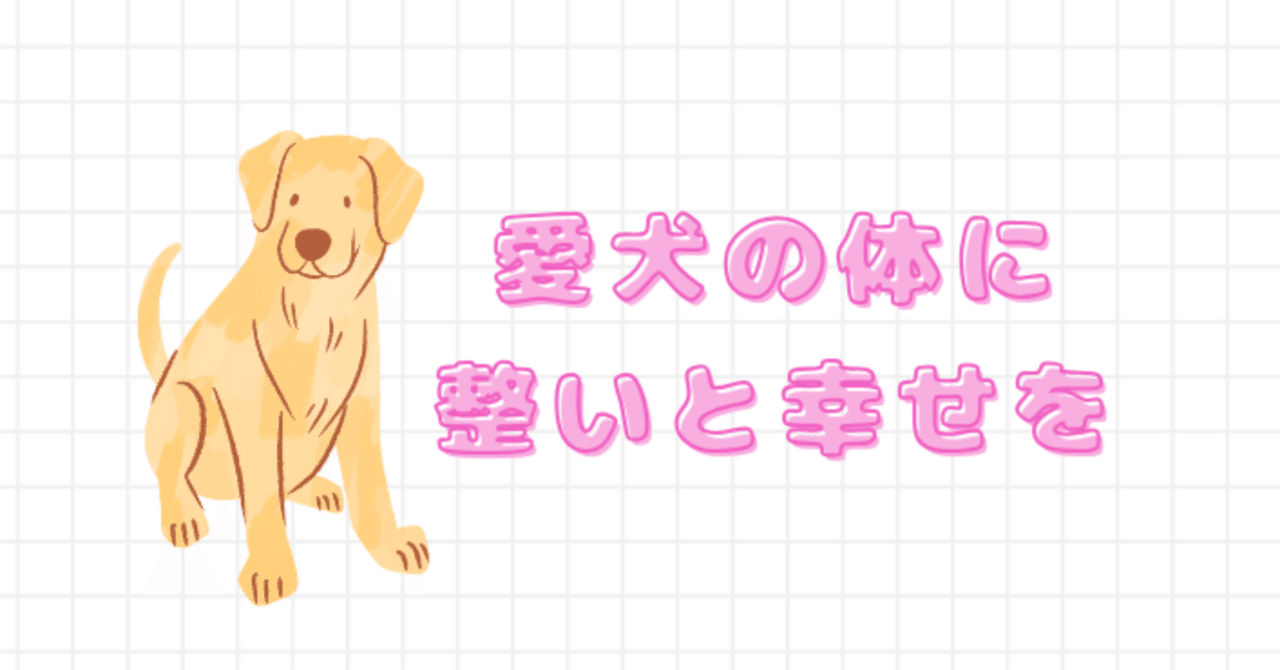 6 ワンちゃんの免疫力アップ オススメケア(実践編)｜ドッグ