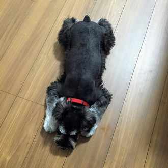 1 脳腫瘍 闘病の始まり ジル Note