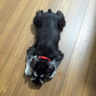 1 脳腫瘍 闘病の始まり ジル Note