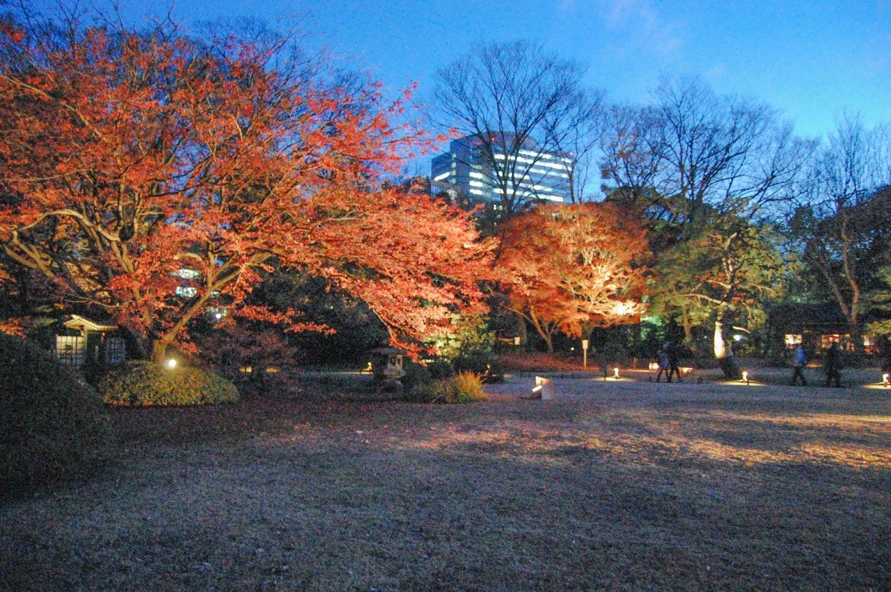 2017六義園-32