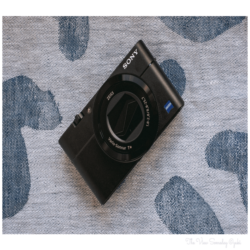 ディスコン?!RX100Ⅴ購入!このイケおじカメラのLOVEなところ!｜| THE