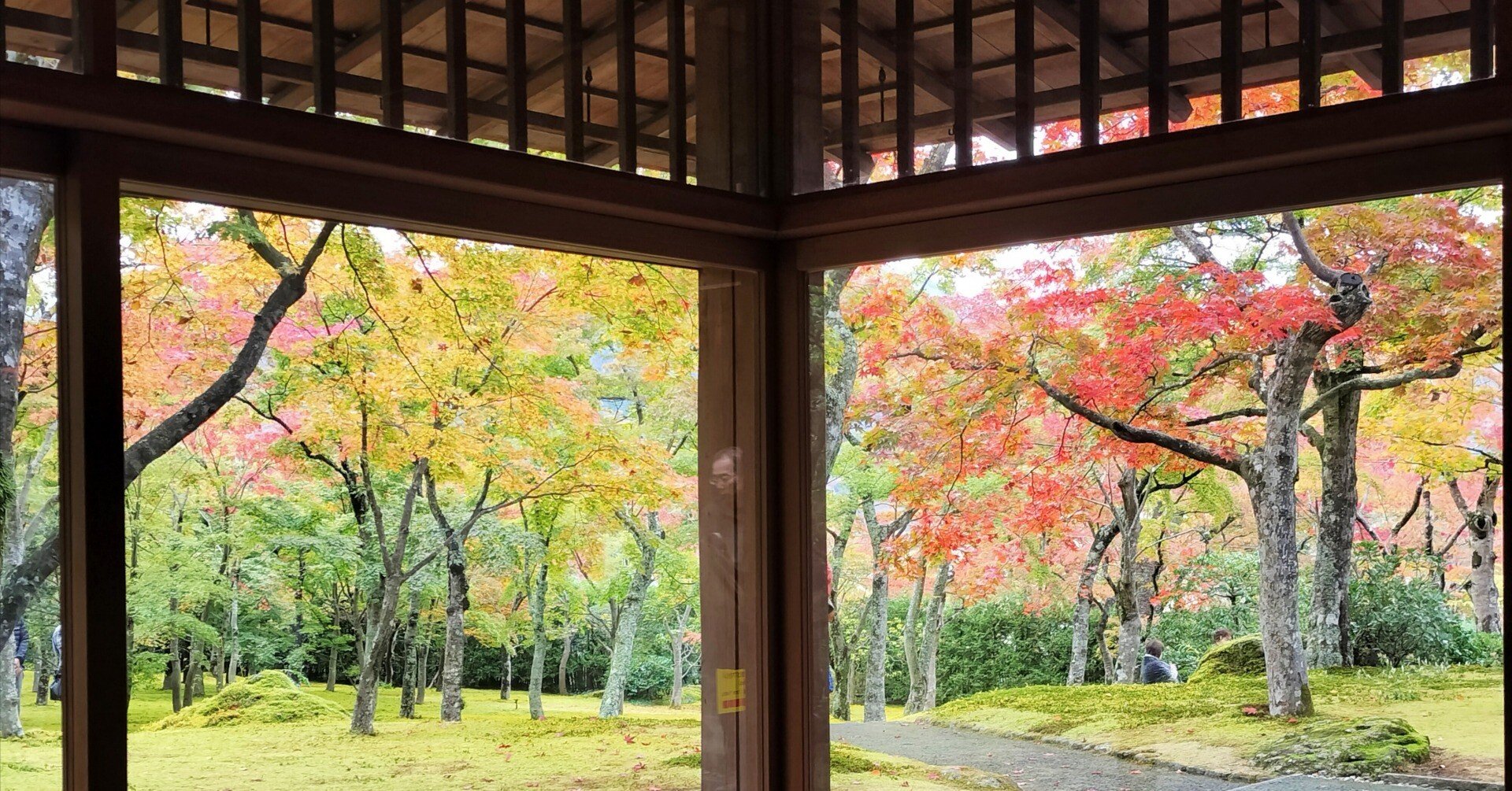 関東で11月から12月にかけて紅葉が楽しめるスポット11選｜kaede