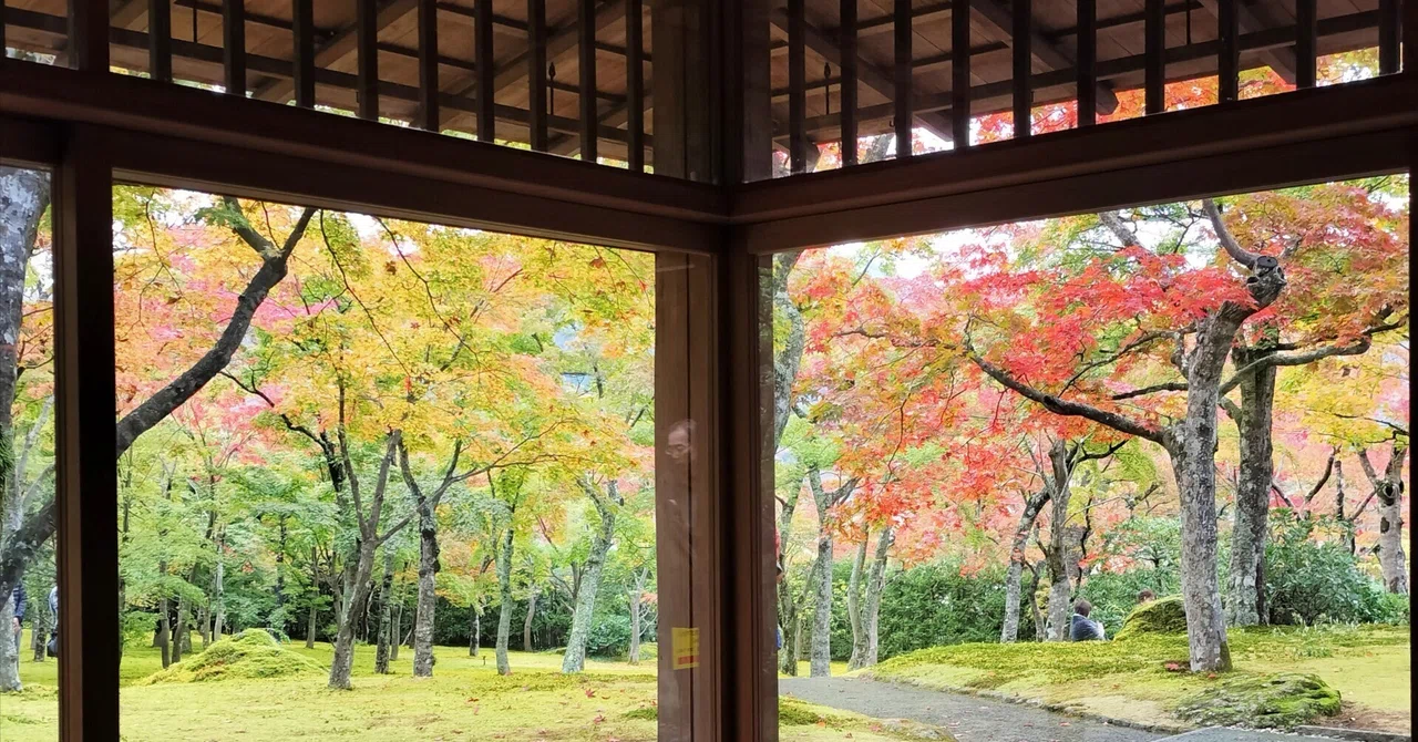 関東で11月から12月にかけて紅葉が楽しめるスポット11選｜kaede