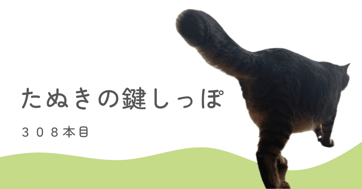 【感謝価格】 たぬきの鍵しっぽ 308本目｜あずきいろの肉球 コンシーラー