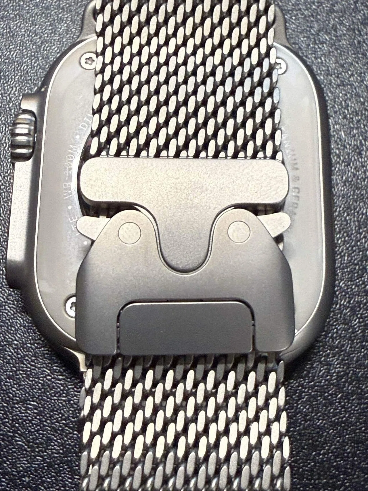 Apple Watch Ultra用にチタニウムミラネーゼループのバンドを購入 