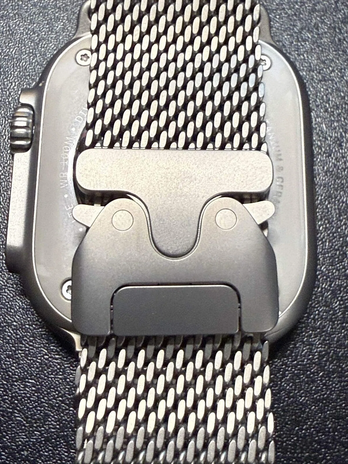 Apple Watch Ultra用にチタニウムミラネーゼループのバンドを購入 