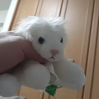 damenndu