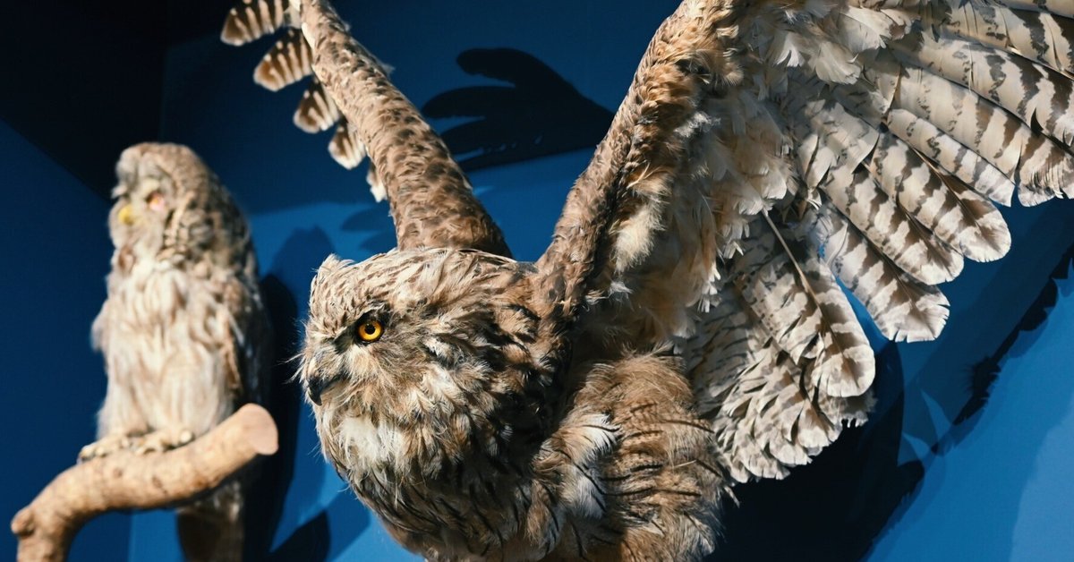 国立科学博物館「鳥展」へ | Z5|鈴木ユートピア 国立科学博物館「鳥展」へ | Z5|鈴木ユートピア