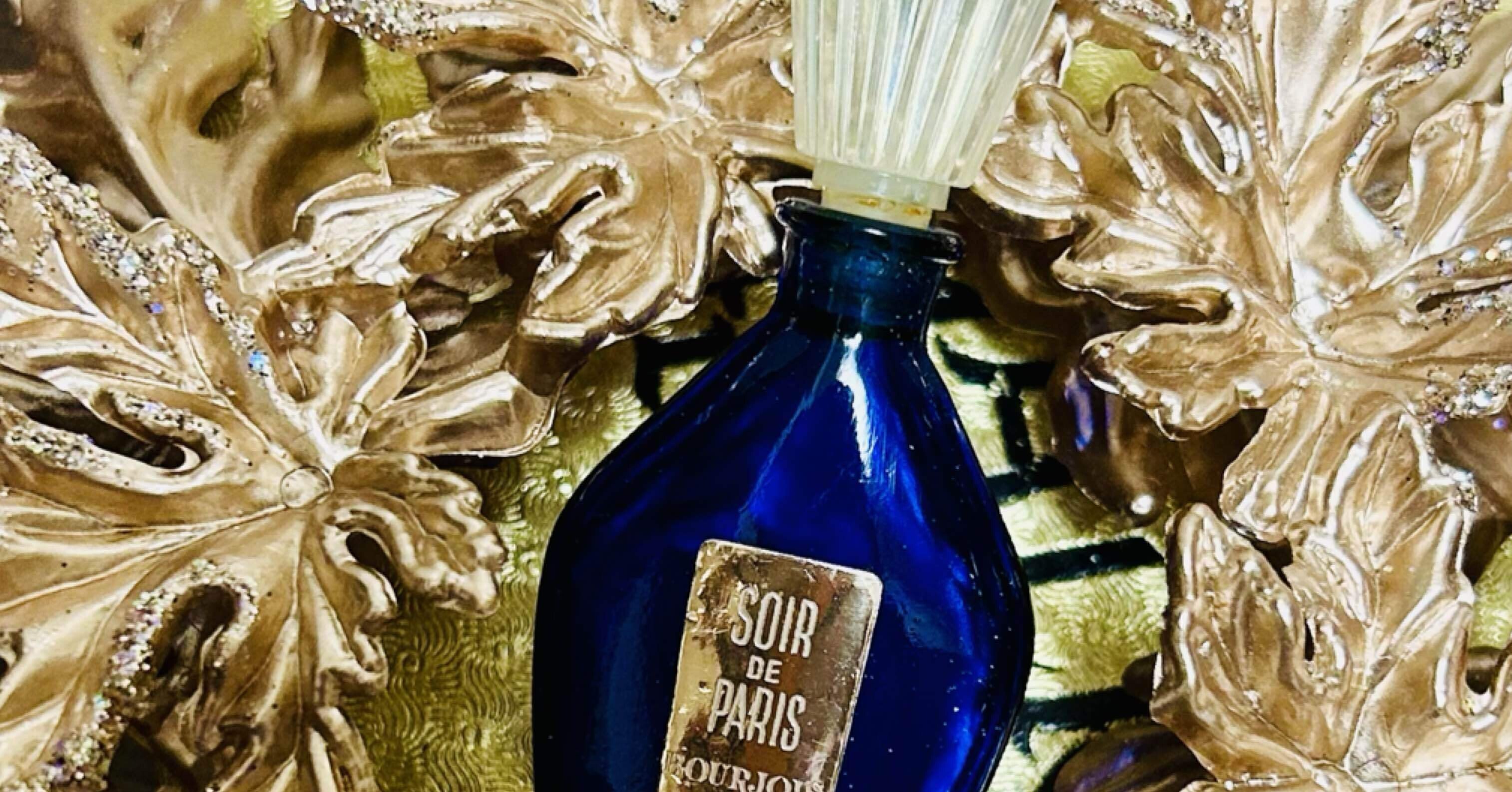 世界で一番魅惑的な宵 12月8日〜365日の香水｜adams fragrance family