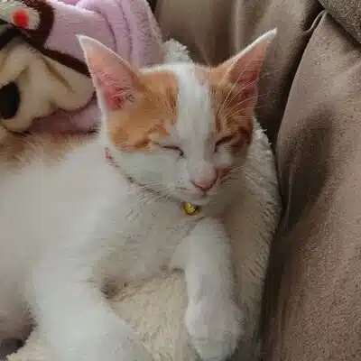 minobe