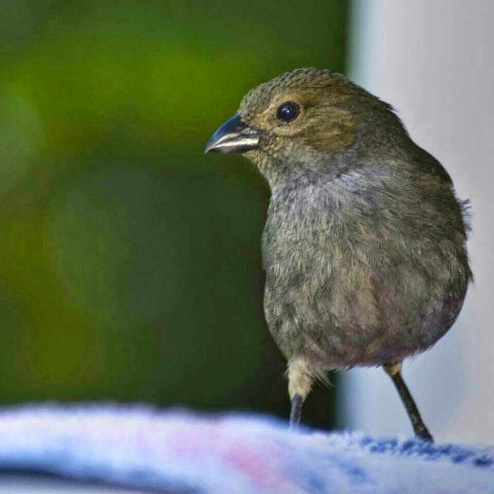 現実の答えのない謎 に疲れ 答えの存在する謎解き に救われた話 渡鳥秋 Note