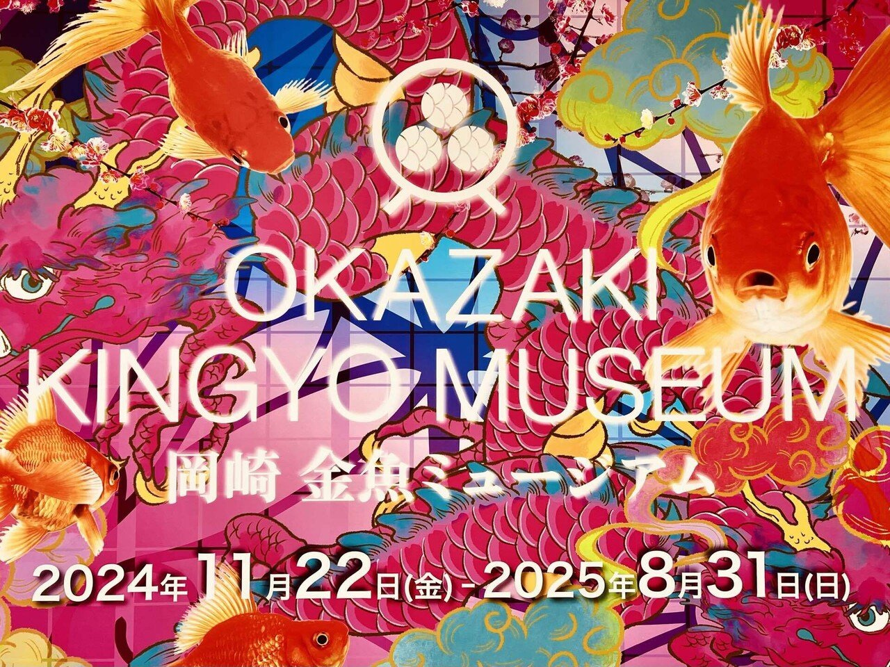 岡崎 金魚ミュージアム】へ行って来ました。 前回、宇宙をテーマにした