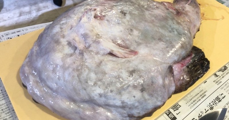 あんこうを捌いて食べて来た話 古谷 真知子 Note