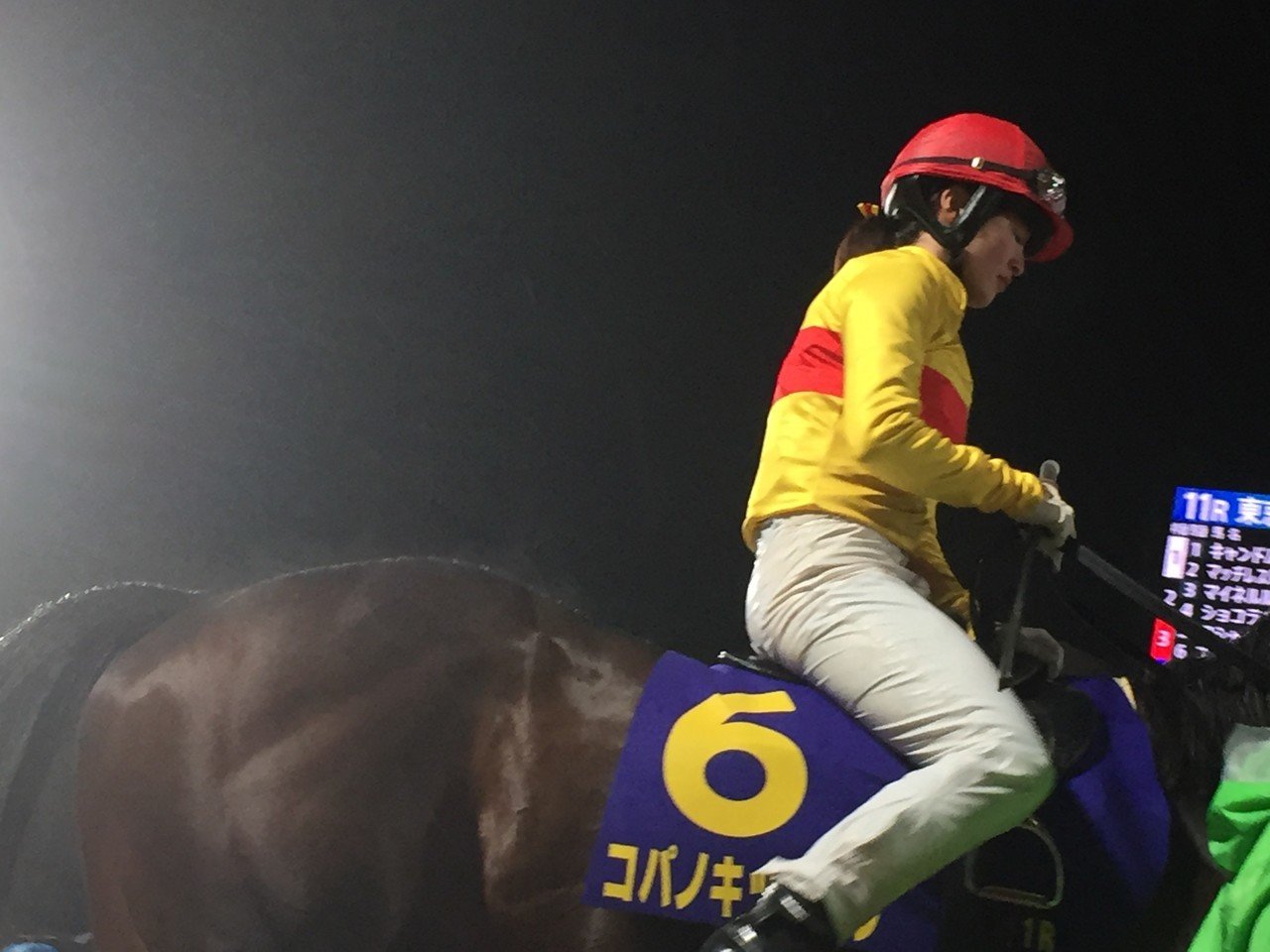 競馬・藤田菜七子はG1初騎乗で5着 フェブラリーステークス