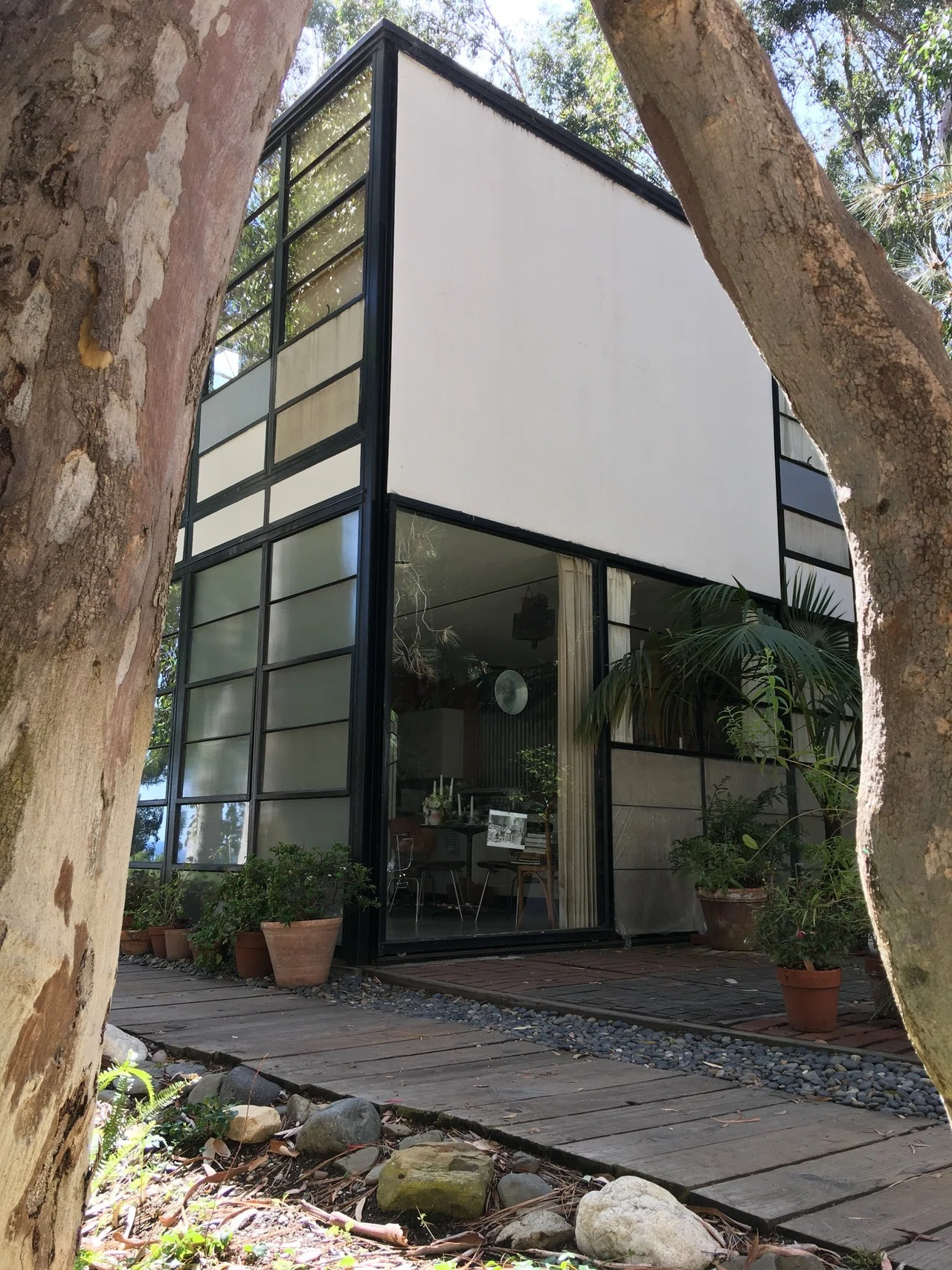 The Eames House (イームズハウスの見学)|MOJA MOJA The Eames House (イームズハウスの見学)|MOJA MOJA