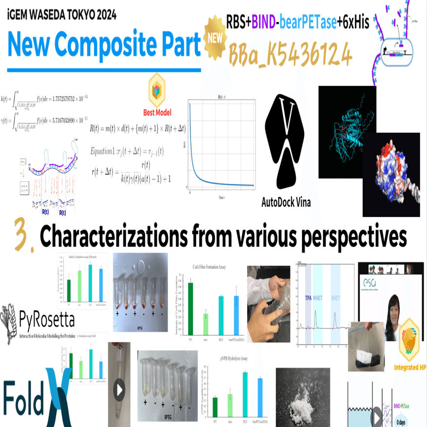 Special Awardの極意～Waseda-Tokyo2024のNew Composite Partに着目し