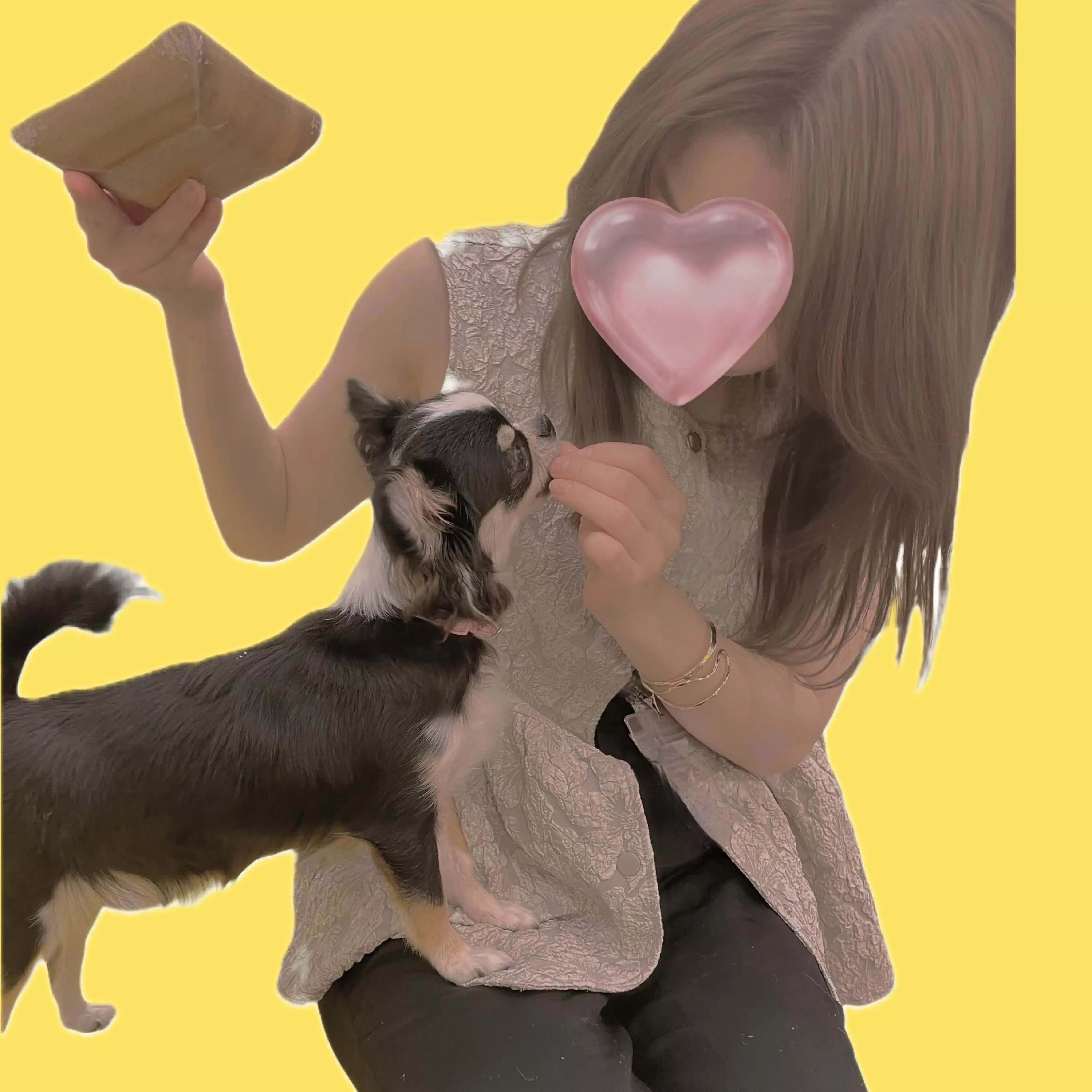 mai@フォロバ100💛💛