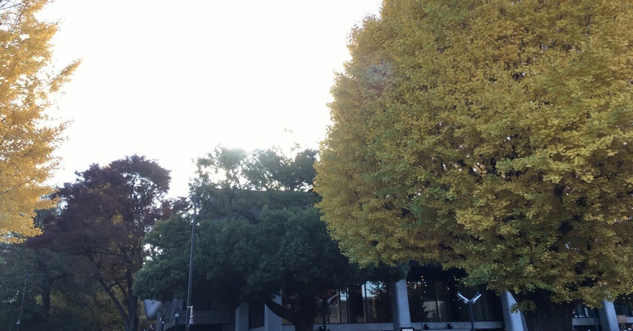 (November 2024) Street Performance Seen in Ueno (3)｜飛吉