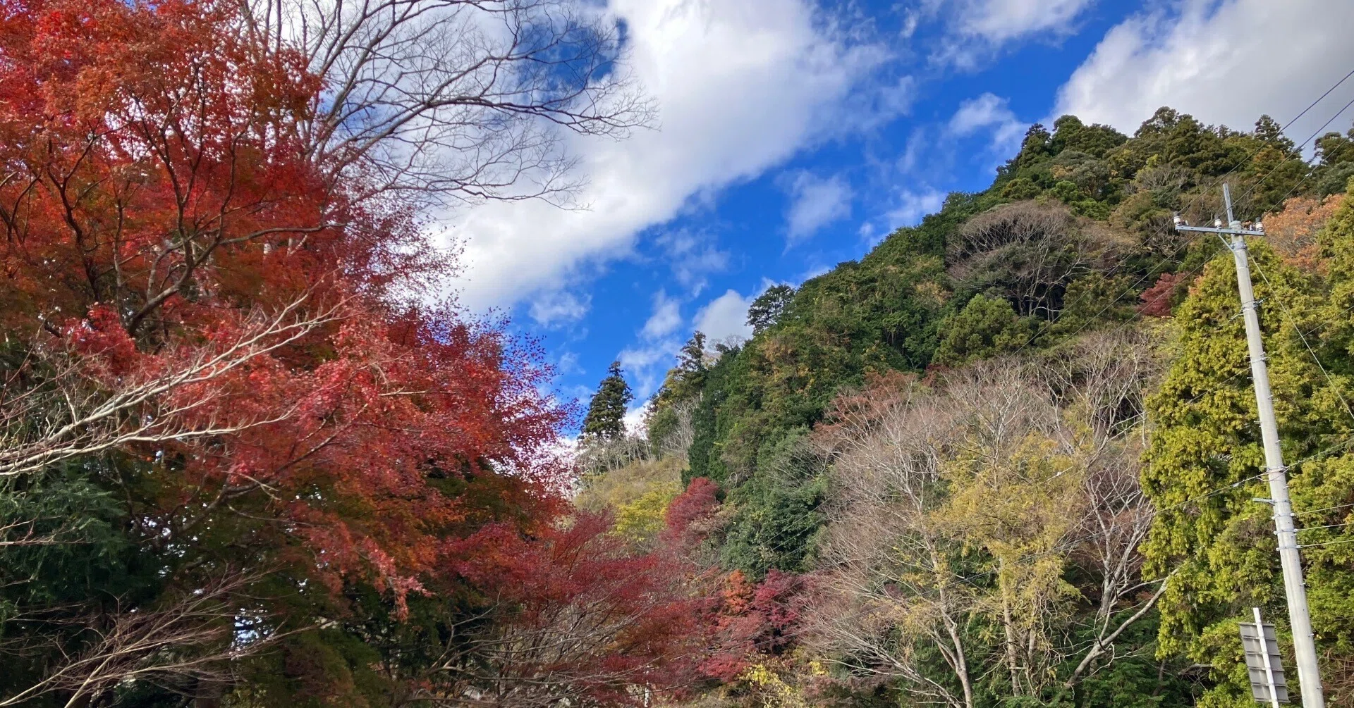 養老渓谷・小湊鐵道とバス利用レポ｜おでかけ備忘録