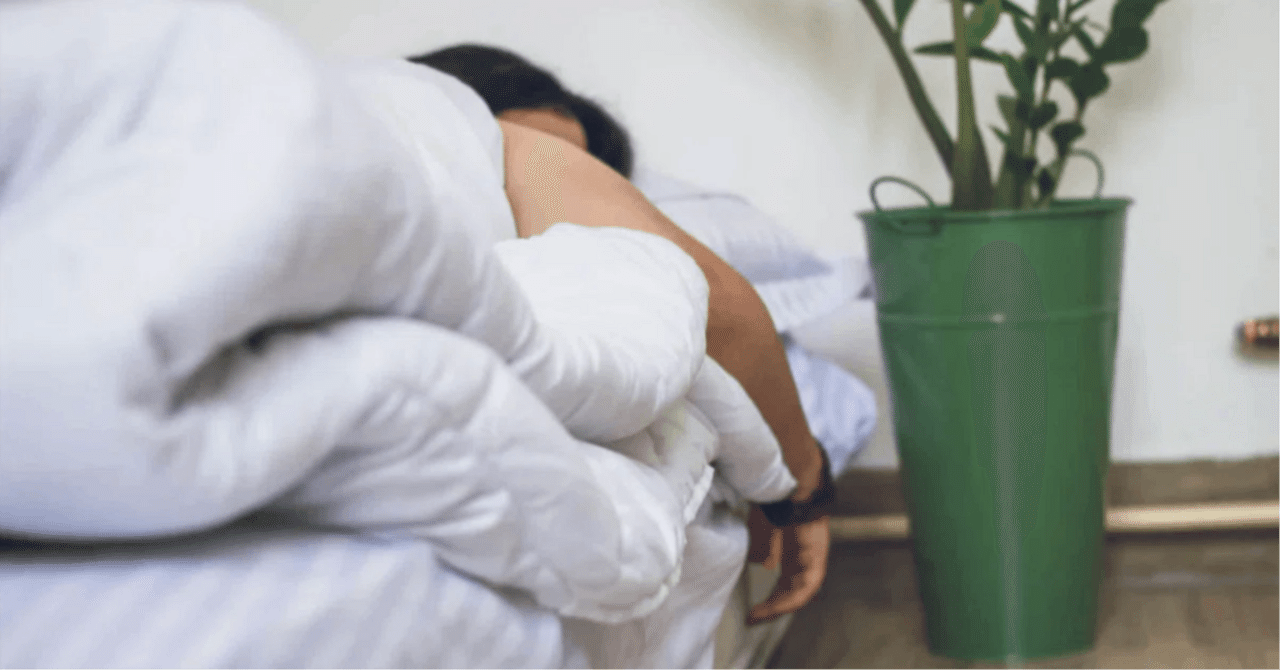 最新の睡眠科学