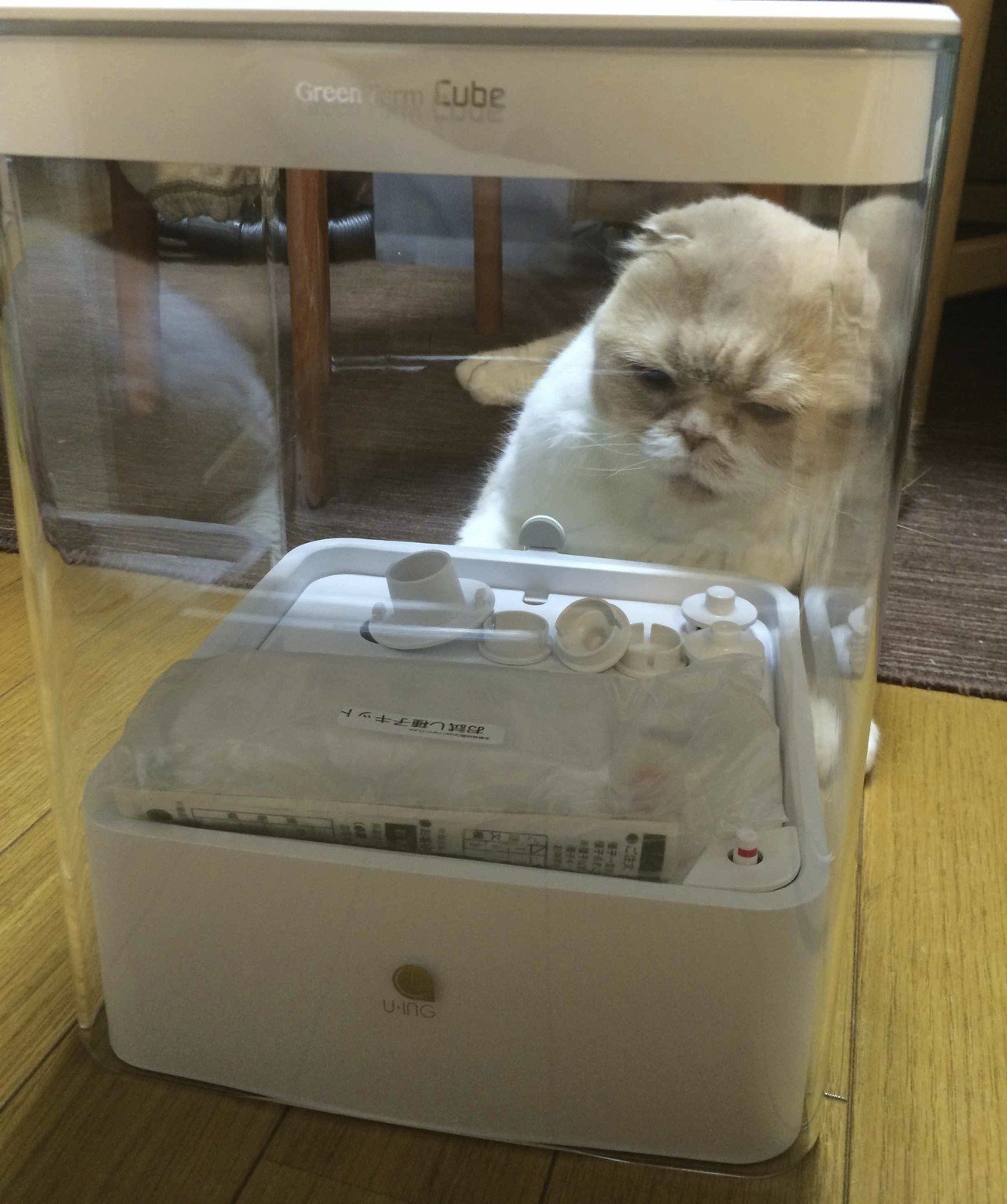 水耕栽培器グリーンファームcube 鴨居まさね Note 水耕栽培器グリーンファームcube 鴨居まさね Note