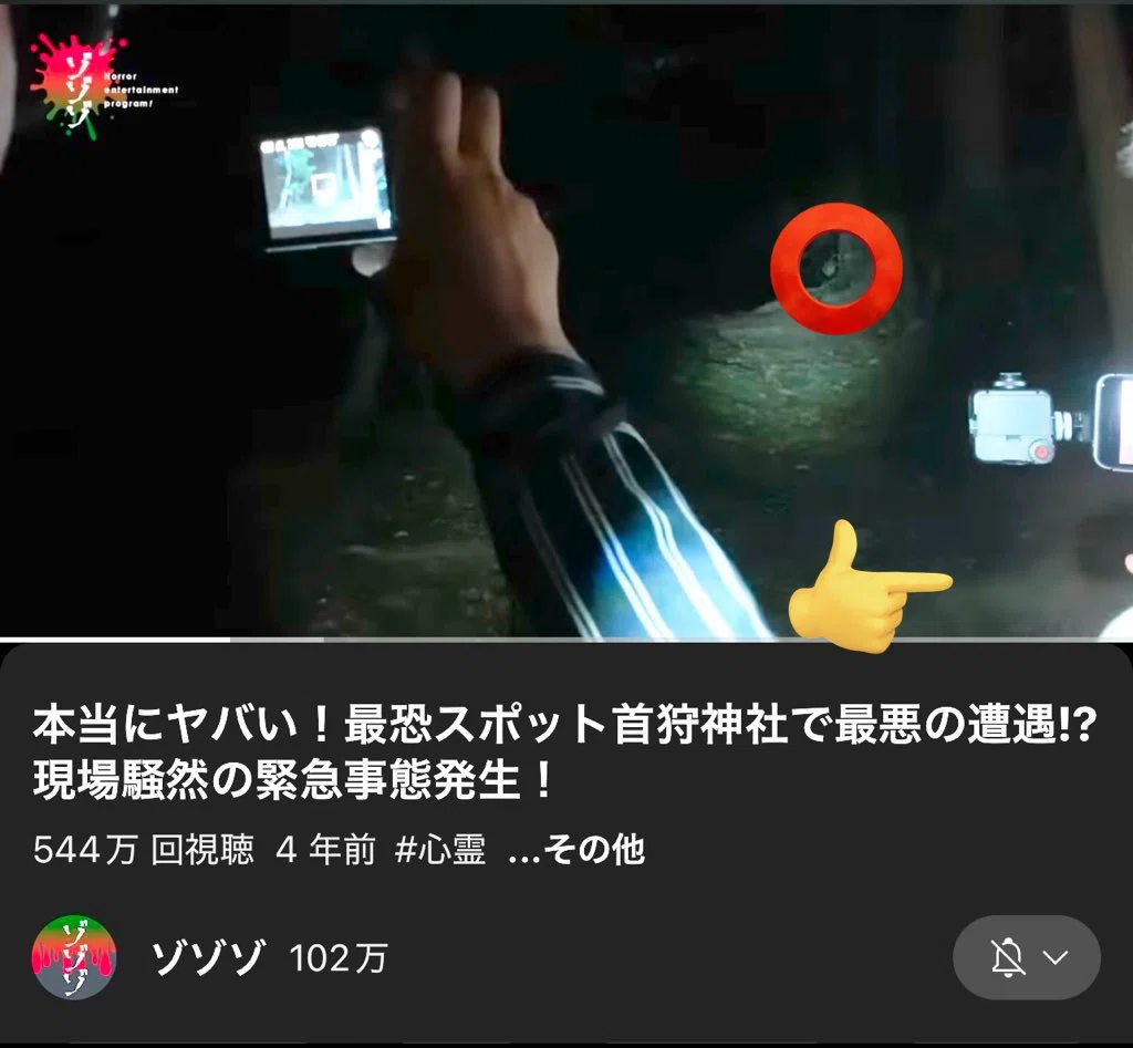 手前と奥の顔？😱#ゾゾゾ さん（写真2枚）｜ameru5963