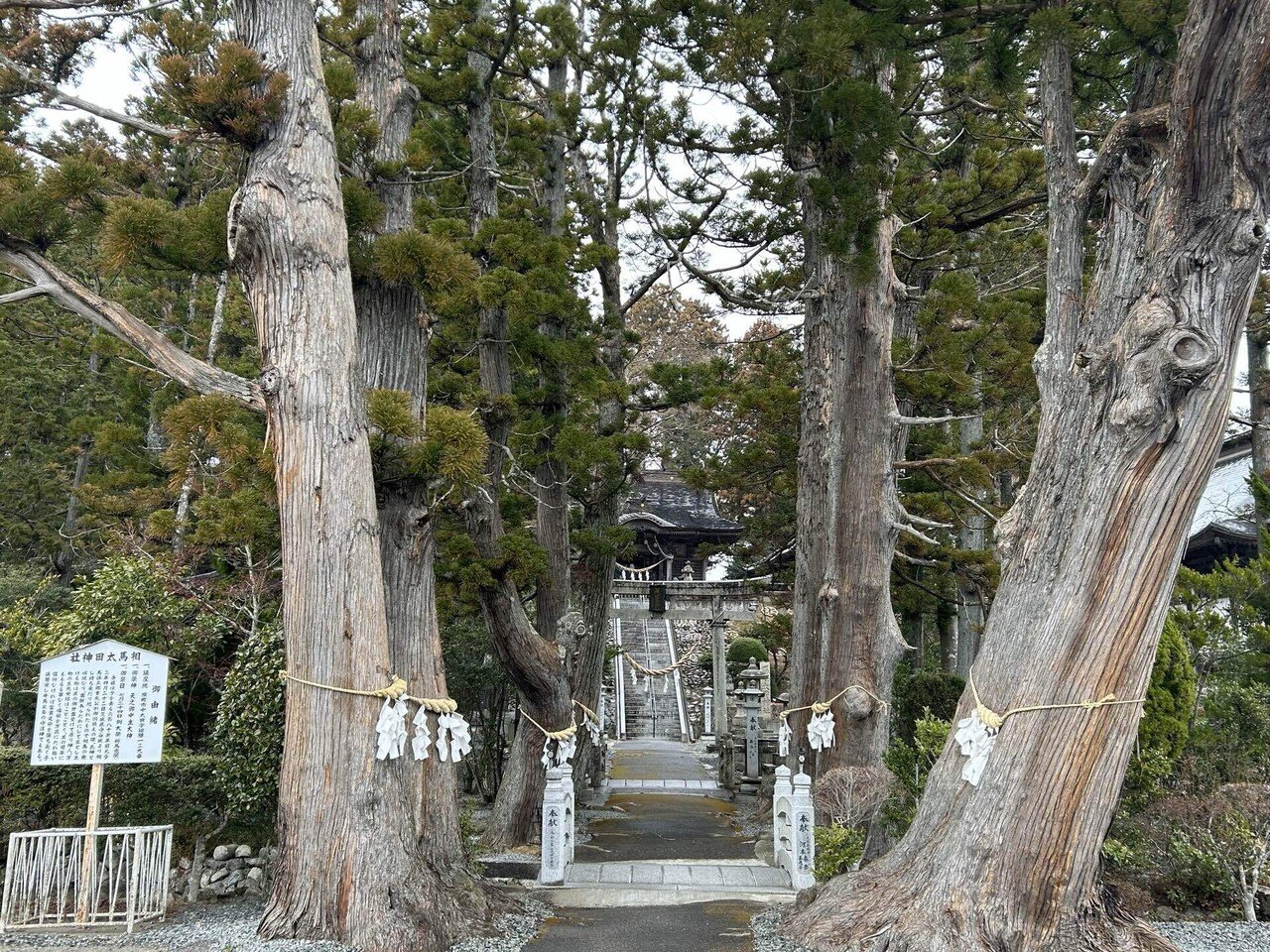 日光東往還1 柏豊四季→中里宿|樋口誠司/時速4kmの世界 日光東往還1 柏豊四季→中里宿|樋口誠司/時速4kmの世界