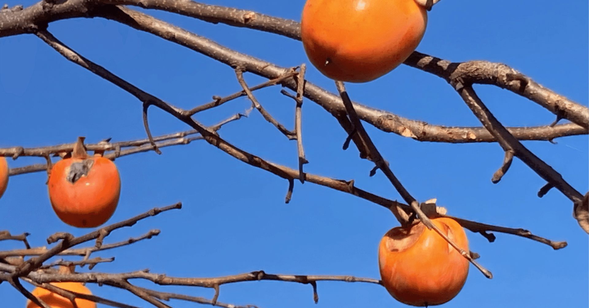 音以外から音を作る方法｜Lantora