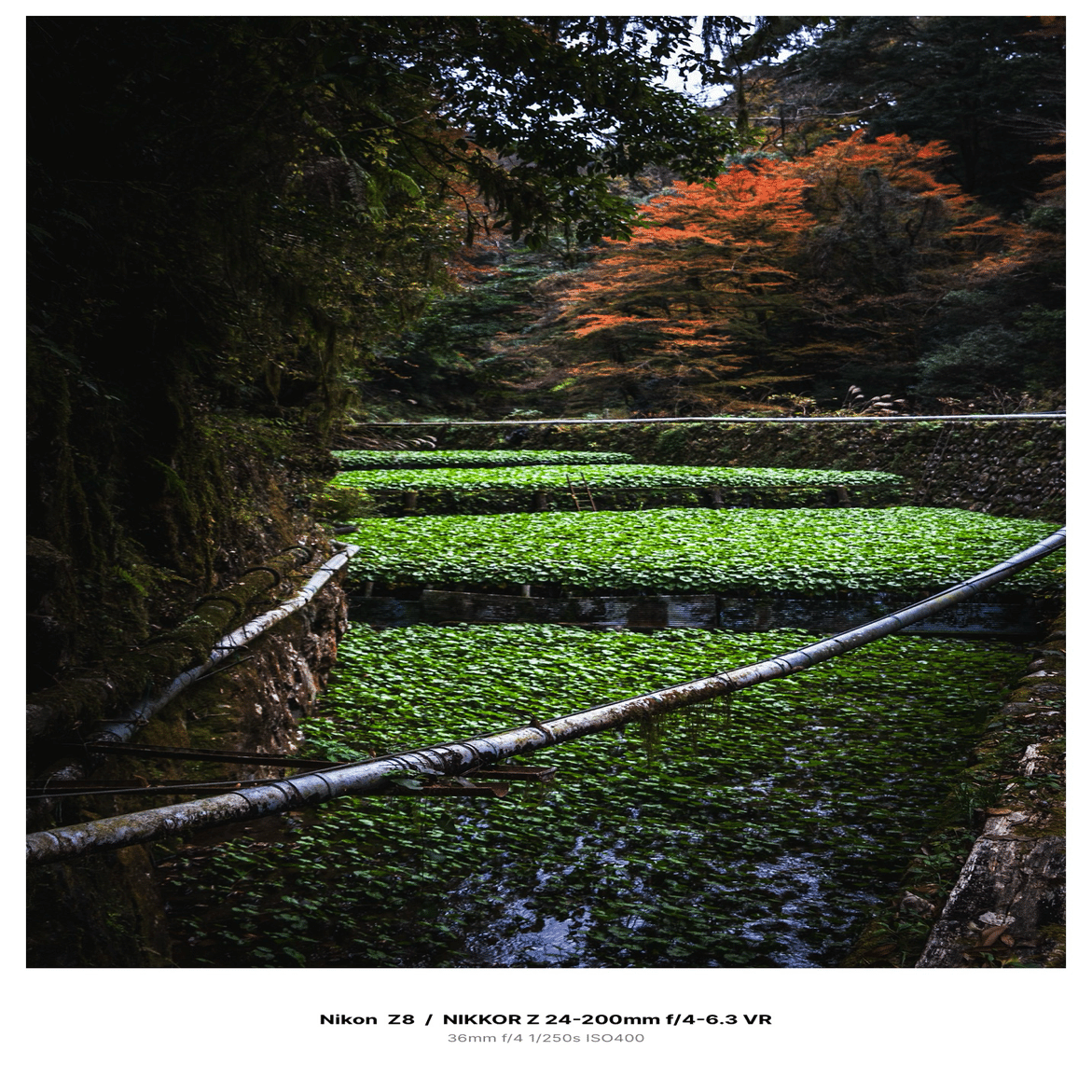 写真を見て下さい ZED-18 - ALLEN & HEATH - ヒビノインターサウンド株式会社