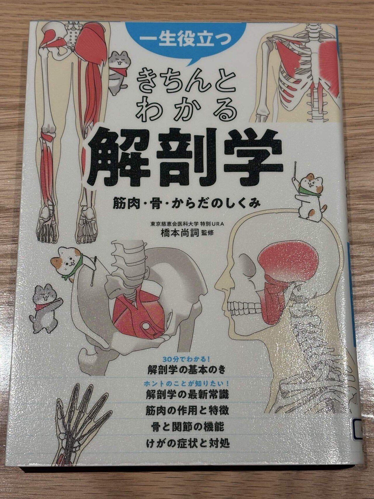 読書)一生役立つ きちんとわかる解剖学|河越諒 読書)一生役立つ きちんとわかる解剖学|河越諒