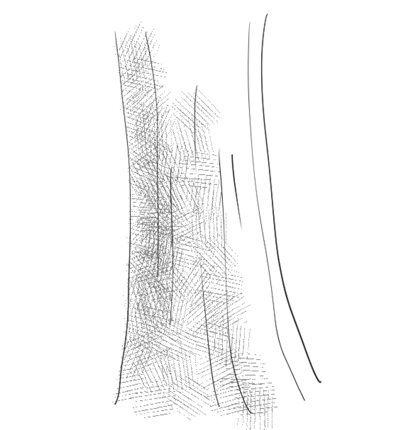 絵を描くコツその１ 模写 ロッキー 漫画家アイコン絵師 Note
