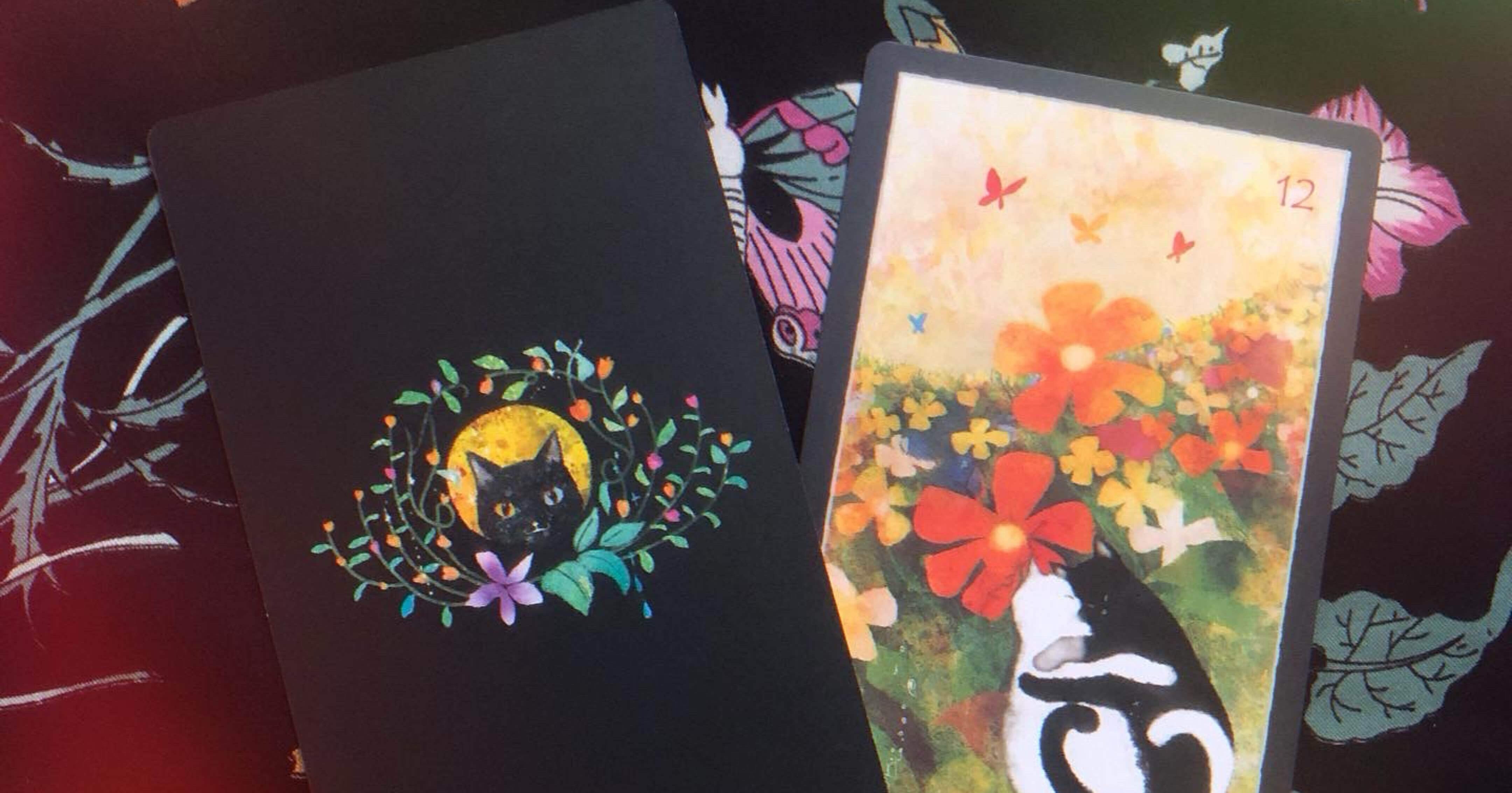 シャドーキャットタロット ジューン澁澤 オリジナルカード 猫 SHADOW