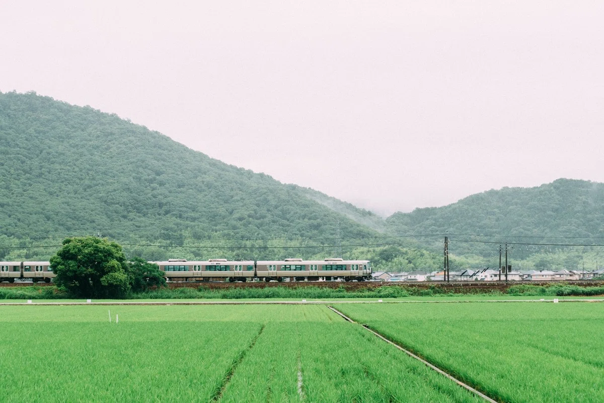 画像19