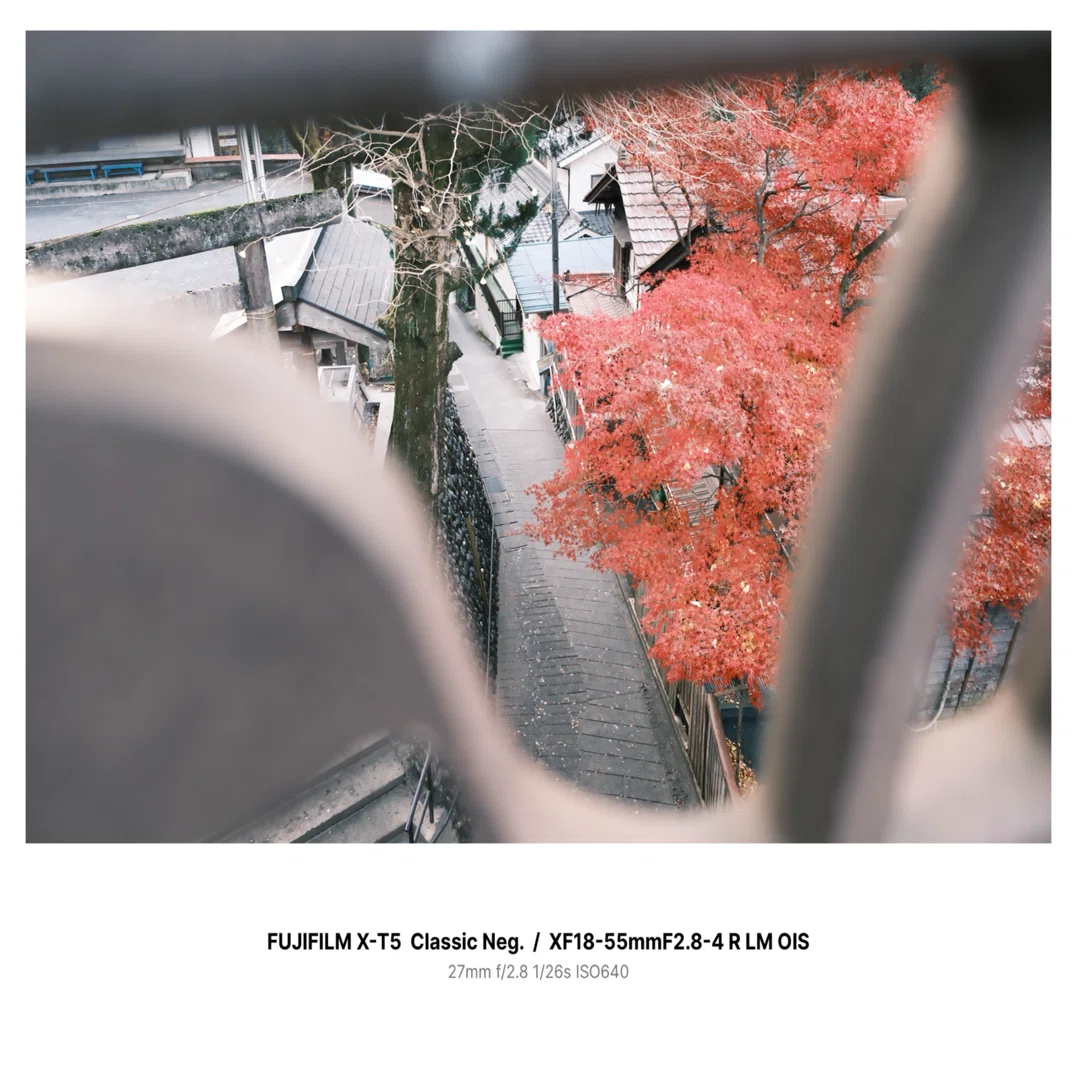 color#5】FUJIFILM X-T5/ XF18-55mmF2.8-4 で撮る奥多摩のスナップ