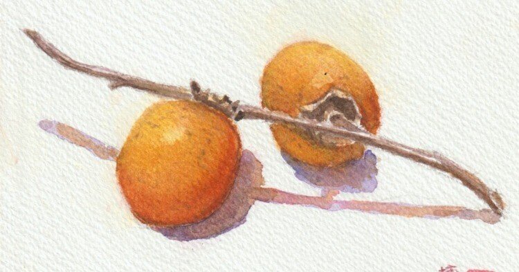 a183f0377b9d2b3b7a15295aae00d5