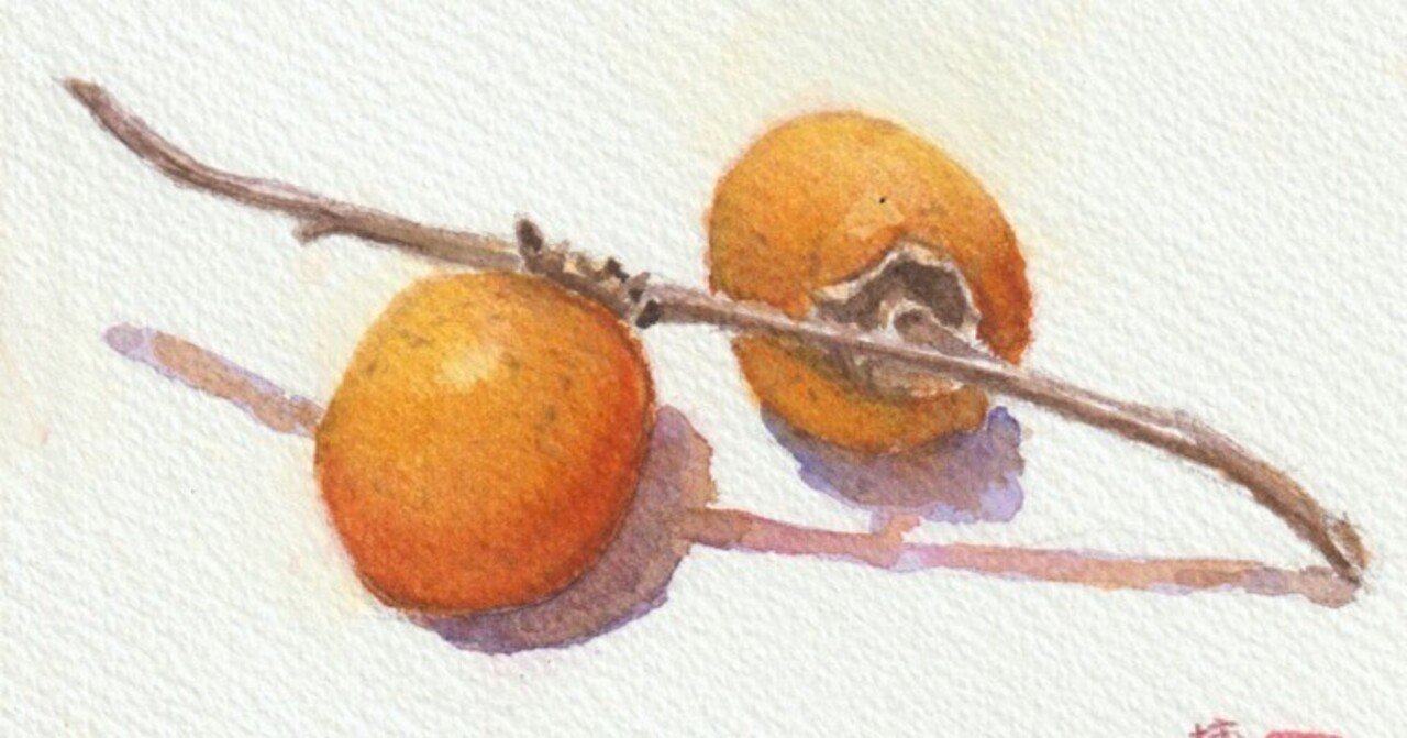 柿」2点描きました｜水彩スケッチ帖