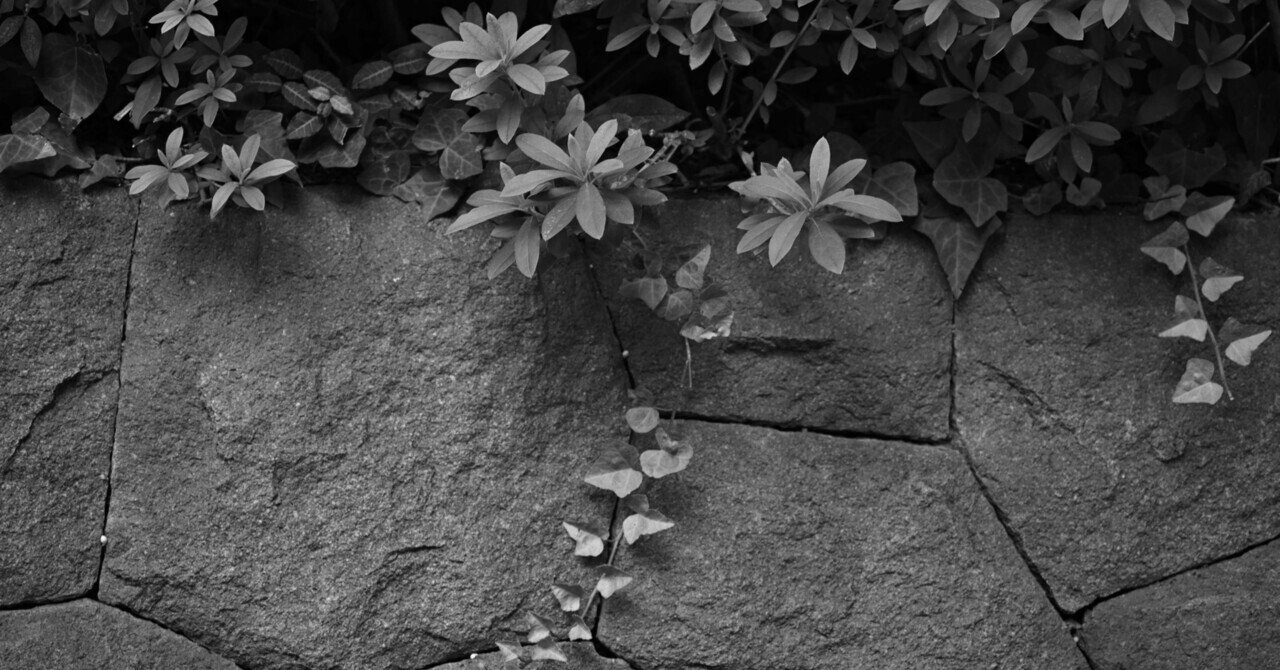 写真No.39】ジュエリー写真で使う白背景の道具について考える - お金をかけずに撮影するジュエリー写真, image size:1280x670