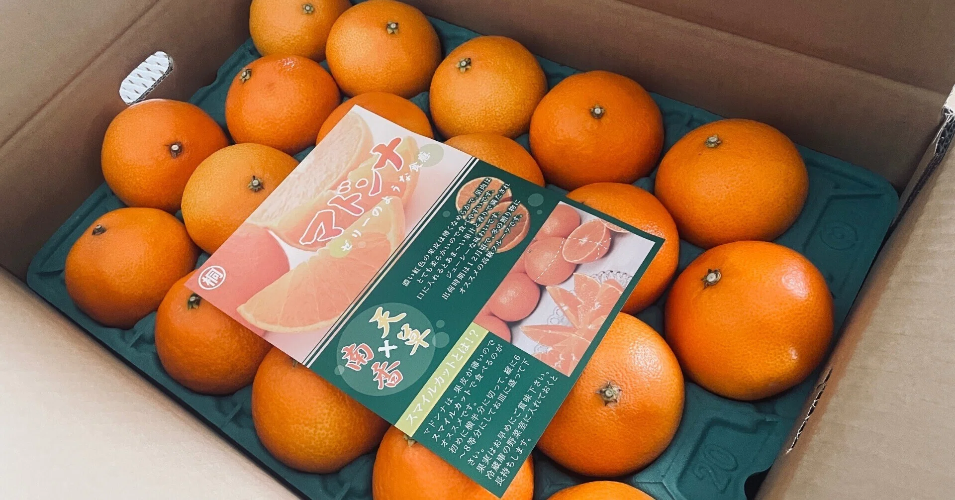 紅マドンナ(愛果28号)｜カワカミ ユキヲ