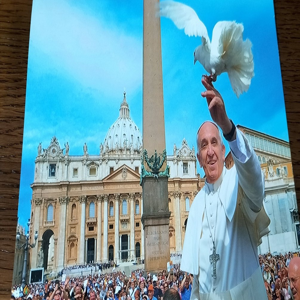 ローマ法王のポストカードをもらったよ🕊️｜たぬ