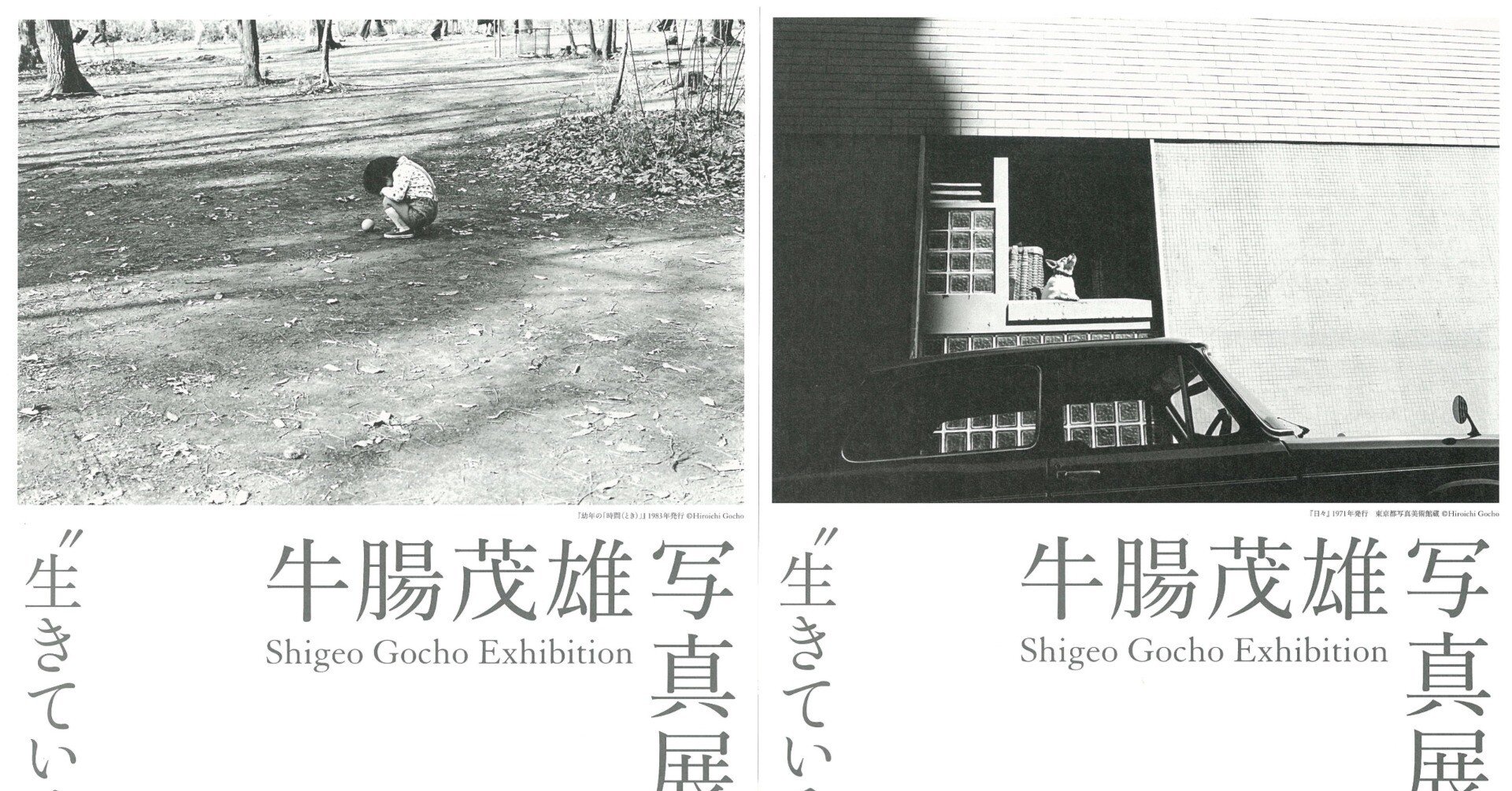 c38d7da8b40104c6ca23cce675c4f9