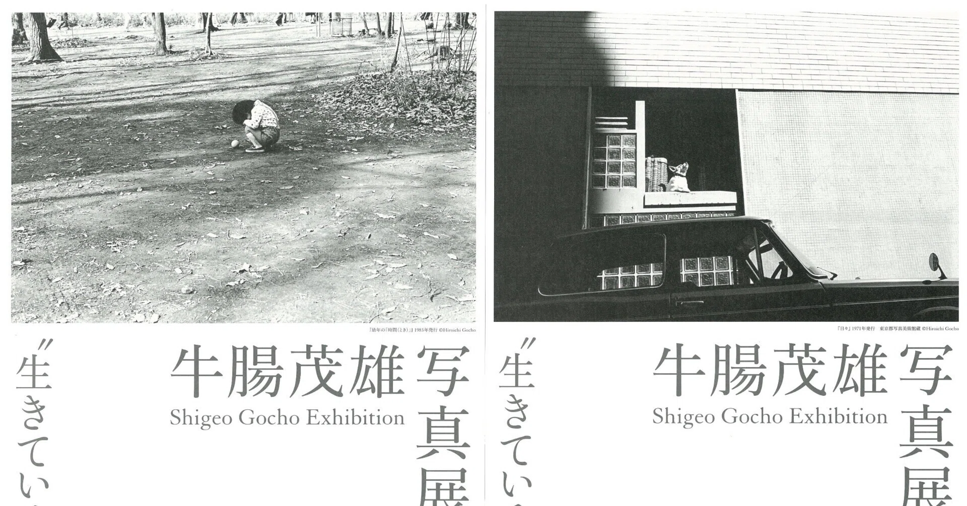 いわき市立美術館「牛腸茂雄写真展 “生きている”ということの証