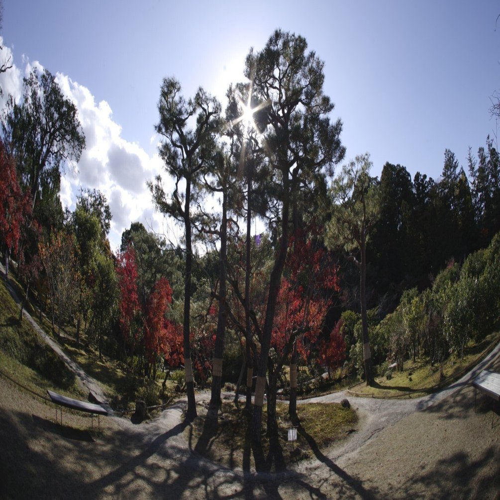 ぎょがーんin Nara (smc PENTAX-F Fish-Eye 17-28mmF3.5-4.5)｜夢望庵