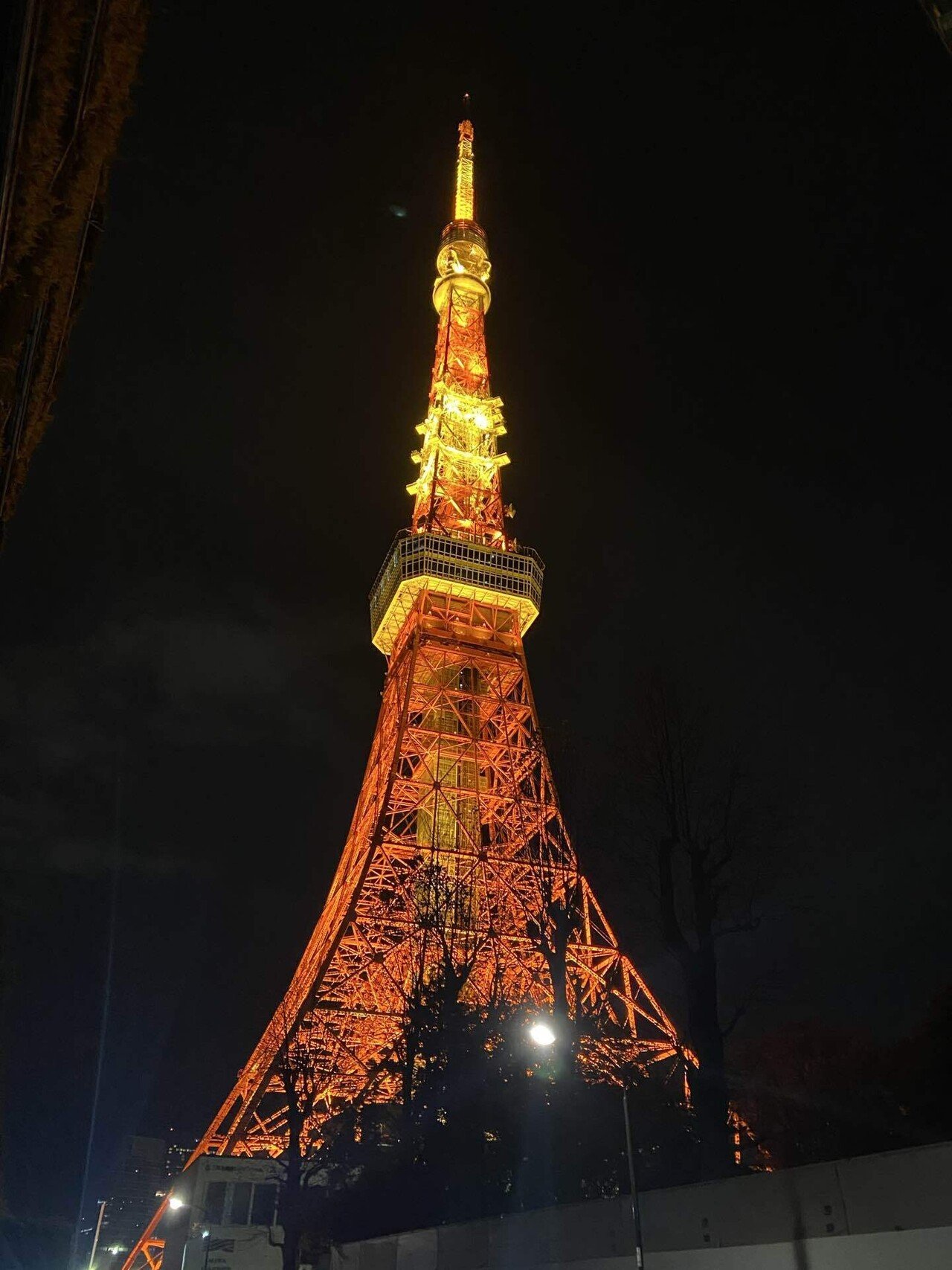 東京タワー タワー大神宮 2024年 正月 限定 2024年 初日の会セット 東京タワーを渋沢カラーの‟藍色“にライトアップ | 東京商工会議