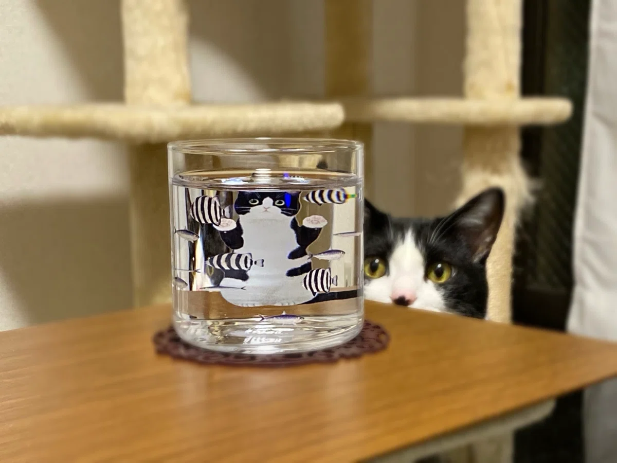 ネコさん専用出品 ねこさん専用 【公式通販】