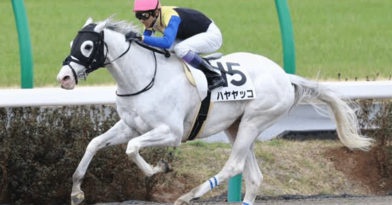 ハヤヤッコ」の馬券｜keita