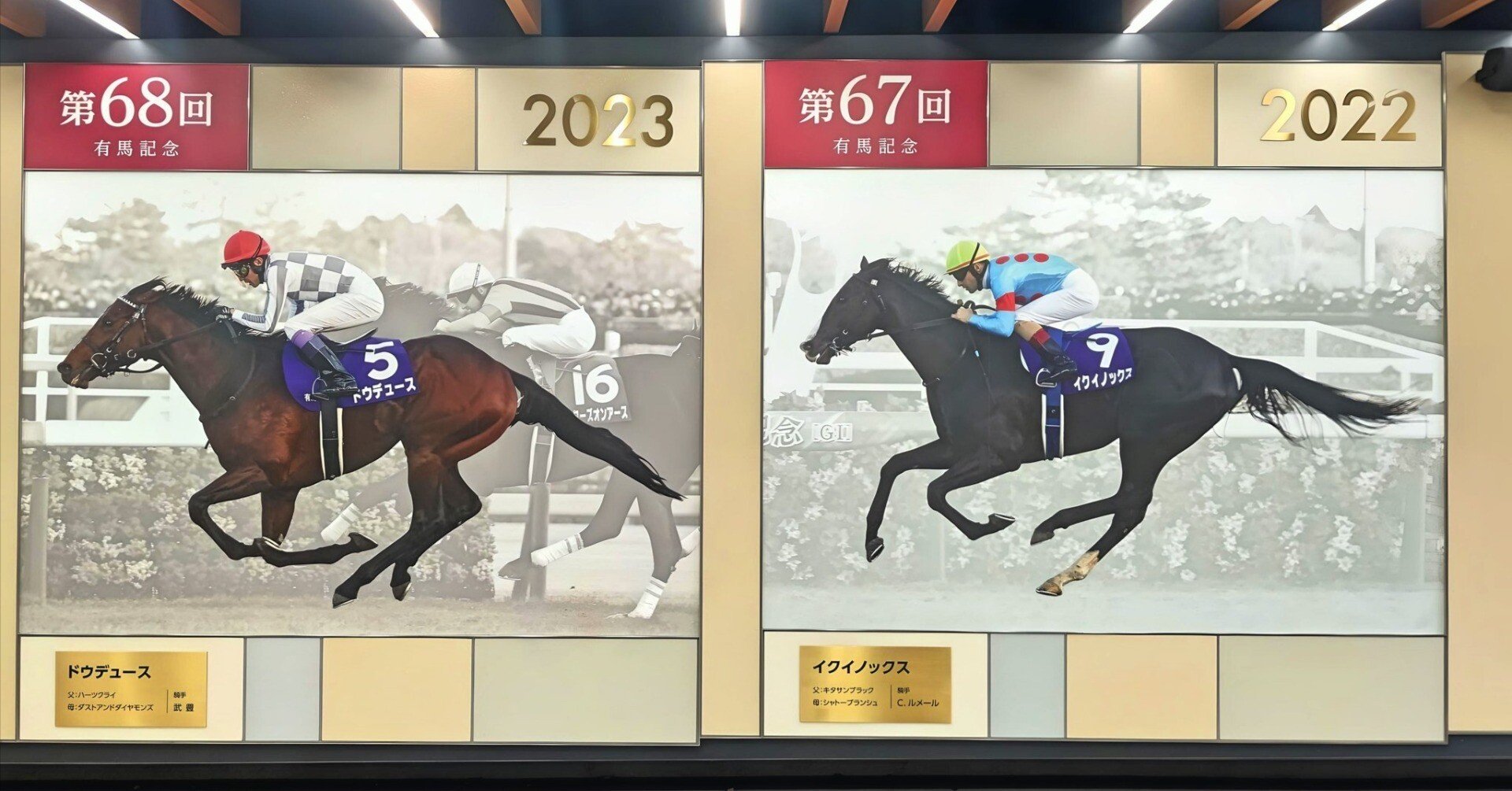 【ドウデュース】イクイノックス　引退馬券※ドウデュースも出走してます！ 再戦直前ドキュメント］ドウデュースとイクイノックスの518日 - 競馬