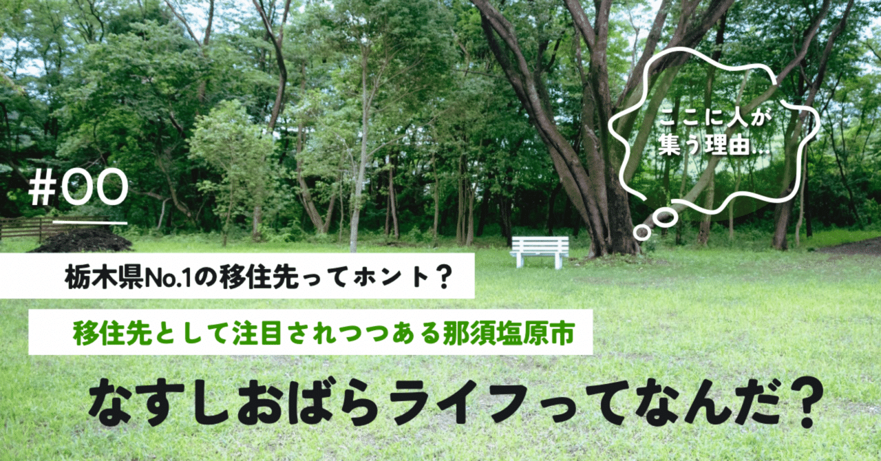 【同梱不可】 0 栃木県No.1の移住先ってホント？移住先として注目されつつある 伝記、人物評伝