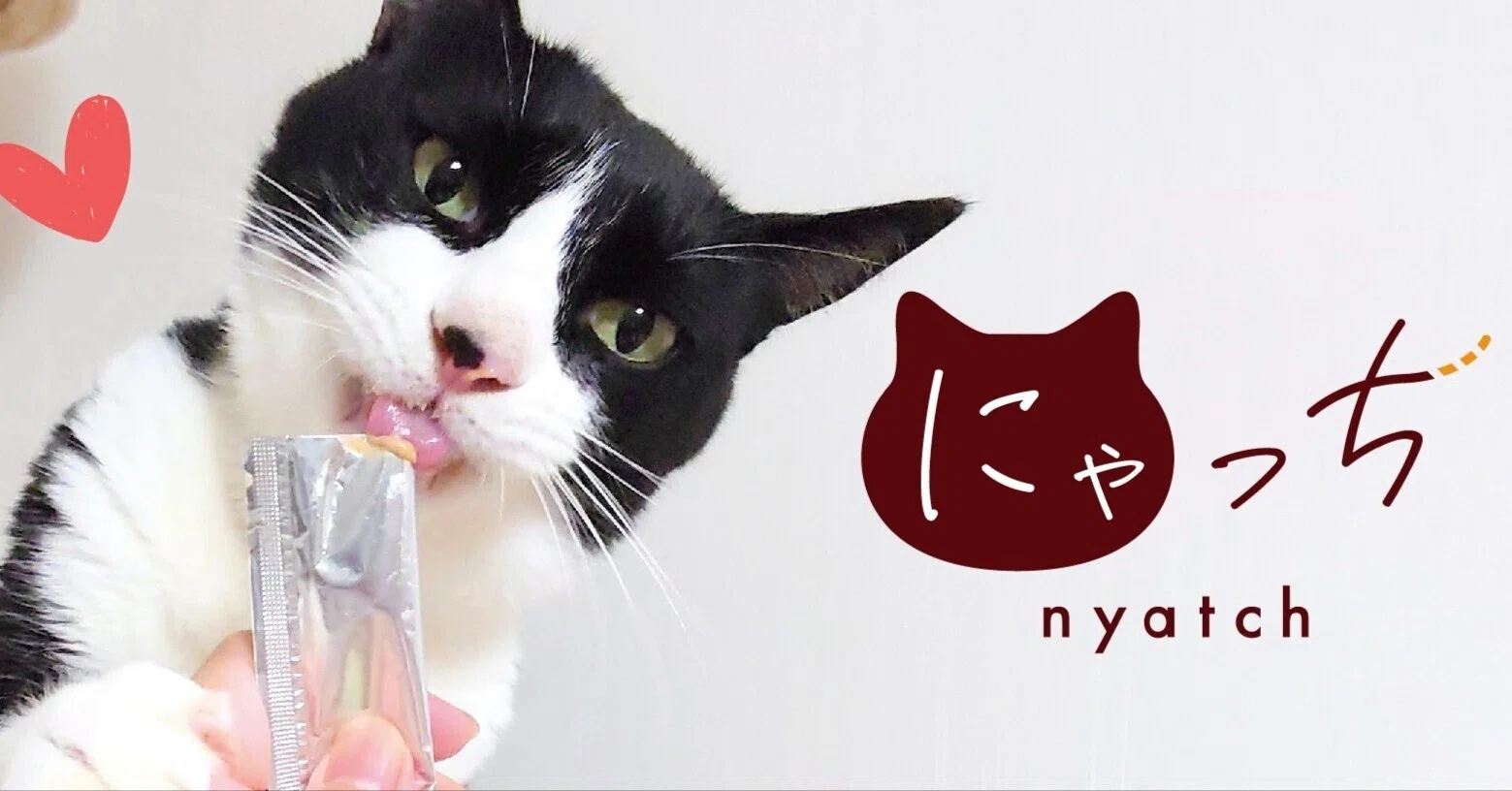 にゃっち様確認ページ 罪悪感ゼロの猫ちゃんピューレ「にゃっち」の開発ストーリー｜愛犬愛猫