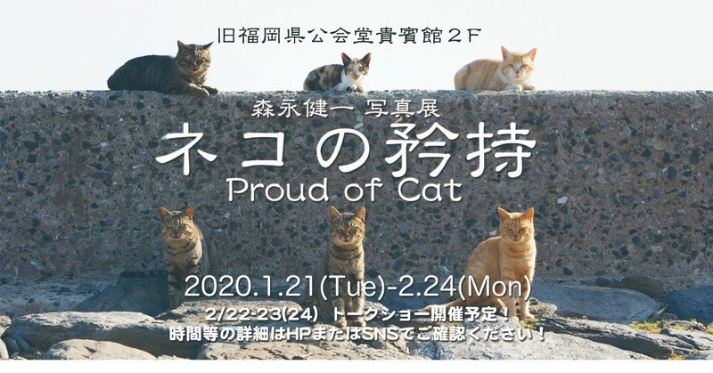 猫写真家、森永健一初の写真展「ネコの矜持」が、２０２０年１月２１日〜２月２４日まで、旧福岡公会堂貴賓館２Fにて開催する運びとなりました！