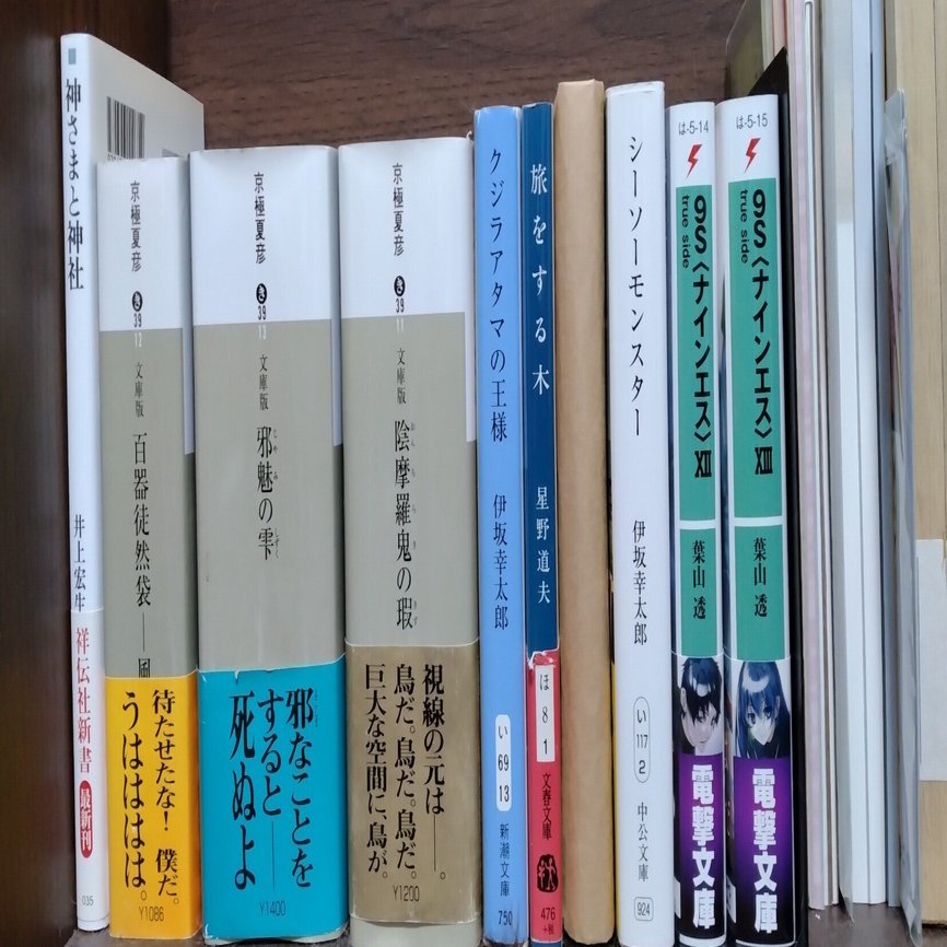 雑記】断捨離……💣💣｜サバトラ